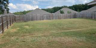 6105 Red Cedar Circle Gallery 17