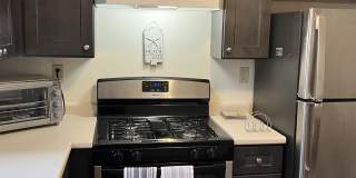 461 Ocean Boulevard Gallery 4