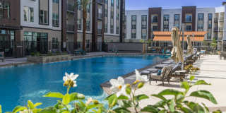 Somerset Upscale Apartments Gallery 9