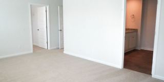 416 Coconut Drive Gallery 23