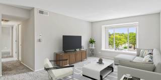 Cypress Place Gallery 4