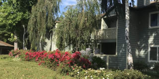 Amberwood Apartments Gallery 4