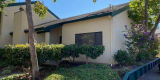 201 Lagunaria - 30% Rental Fee Gallery 1