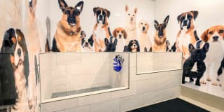 Mill at Ironworks Plaza Gallery 24