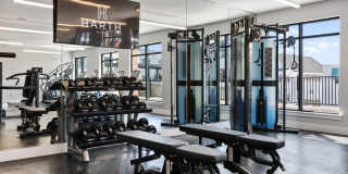 The Harth Gallery 14