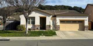 COMING SOON! Gallery 1