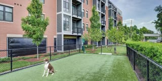 Windsor at Maxwell's Green Gallery 40