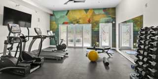 The Edison Gallery 22