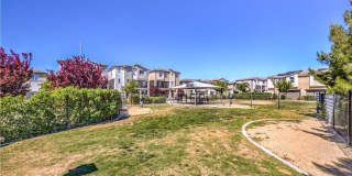 6816 Citron Mist Court Gallery 35