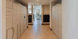 The Riley Gallery 40