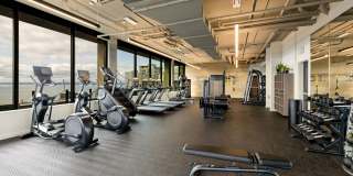 The Confidential The Confidential Gallery 44