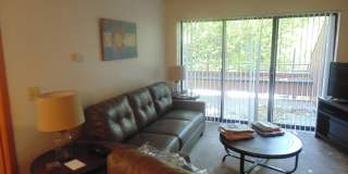 Short-mid term housing, furnished condo 2 bed/2 bath walking distance to Pearl St., CU and close to Hiking and Biking Gallery 3