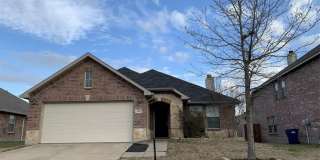 510 Indian Paintbrush Gallery 1