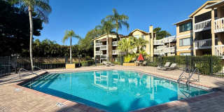 Belleair Village Condo 1/1 Open floor plan Gallery 23