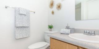 Metro Tucson Gallery 17