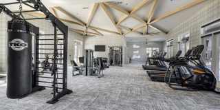 Folksong Flowery Branch Gallery 21