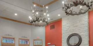 Marquis Bandera Gallery 3