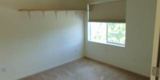 3 Bedroom A/C Pet Friendly - Hillsboro Gallery 9