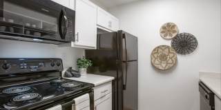 Icon on Spanish Trail Gallery 7