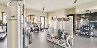 Hollister Village Gallery 13