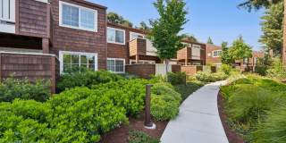 Peartree Apartments Gallery 44