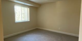 Northgate Gallery 253