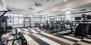 Velo Interlocken Gallery 5