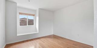 2175 Caminito Leonzio Gallery 9