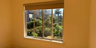 Epic REA- Serene 2 BR/1 BA Flat w/Private Deck & Yard in Lone Mountain Gallery 27