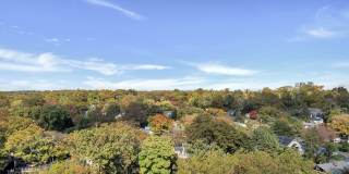 Willard Towers Gallery 11