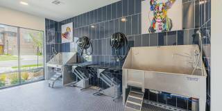 Alleia Watters Creek Gallery 19