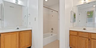 Bolin Creek 4 Bedroom House with Fabulous Forest Views Available May 15! Gallery 21