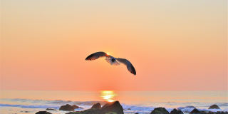 100 18th Avenue Gallery 27