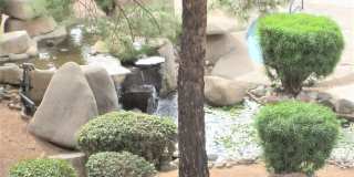 12212 N PARADISE VILLAGE Parkway Gallery 33