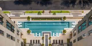 Novel Turtle Creek Novel Turtle Creek Gallery 12