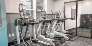 Meridian at the Port Gallery 47