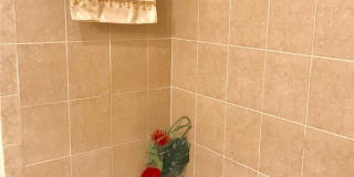 8342 Bernwood Cove Loop Gallery 11