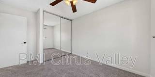 15354 Black Shadow Drive Gallery 4