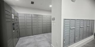 Mosaic at Lake Toho Gallery 13