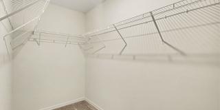 436 WIMPOLE LANE SW Gallery 10