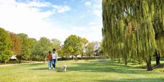 Belmont Park Gallery 10