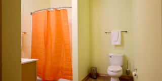 Settlement Place Gallery 342