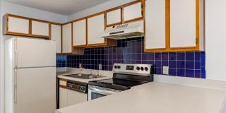 Seminole Legends Gallery 11