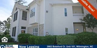 Beautifully Updated 2 BD/2 BA with Screened Porch & Modern Finishes Gallery 1