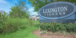 Lexington Village Gallery 19