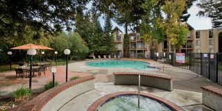 Atrium Downtown Gallery 12