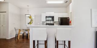 Vista Lake Ned Gallery 34