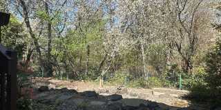 Beautiful 3 Bed + Bonus Room, 2.5 Bath Home! Gallery 15