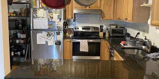Modern Triplex Apartment with 1 Parking Included.  Conveniently Located.  NO FEE Gallery 11