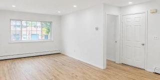 294 Tompkins Avenue Gallery 3